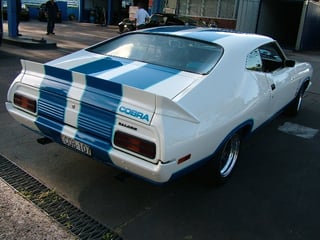 XC Falcon Cobra #107