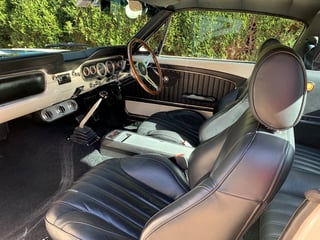 1965 Shelby Mustang GT350 Tribute