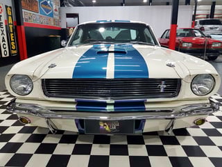 1966 Mustang Shelby GT350 Tribute