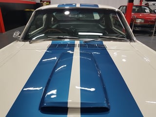 1966 Mustang Shelby GT350 Tribute