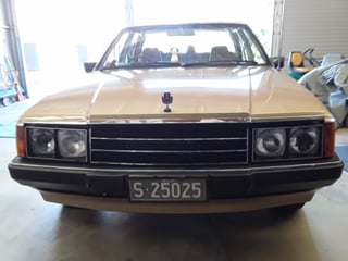 1982 Ford ZJ Fairlane 351 V8