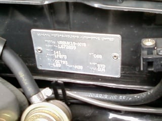 Wayne Gardner Group A