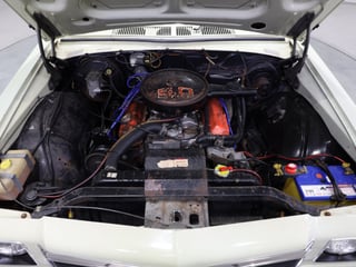 1975 Holden HJ GTS Monaro 2-Door Coupe - Chamois Unrestored Survivor 