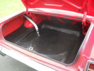 Custom ZC Fairlane 351