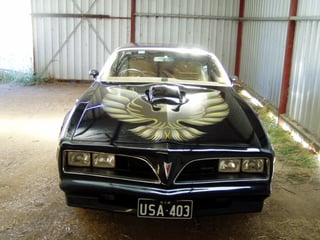 Pontiac Trans Am Firebird