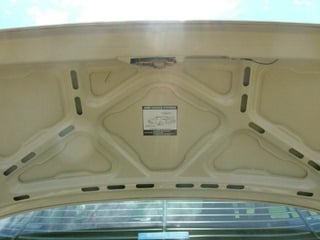 1979 ZJ Fairlane 500 V8