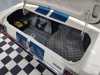 1966 Mustang Shelby GT350 Tribute