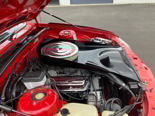 1982 VH SS Group 3 Brock Commodore #775