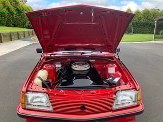 1982 VH SS Group 3 Brock Commodore #775