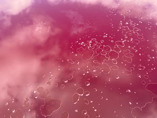 1980 VC HDT Brock Commodore Build No.230