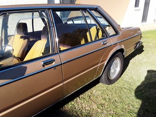 1982 Ford ZJ Fairlane 351 V8