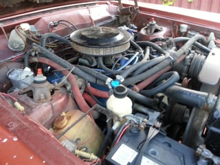 ZD Fairlane 351 V8