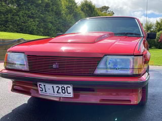 1982 VH SS Group 3 Brock Commodore #775