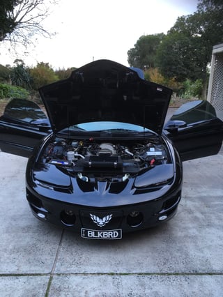 2002 Pontiac Firebird Trans Am WS6