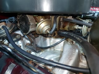 1986 HDT Commodore VL SS Group A - Build 109/500