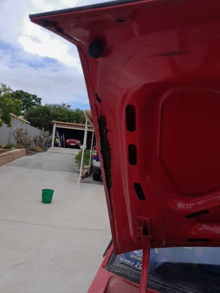 1981 XD Ford Fairmont Ghia ESP - 5.8 Litre V8 