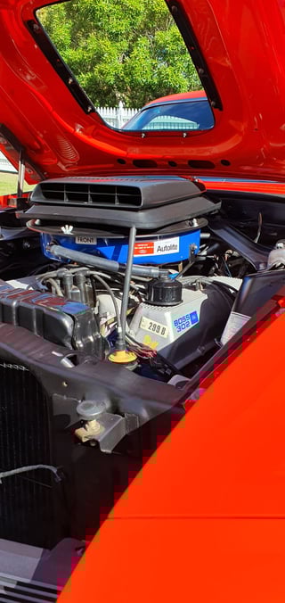 1970 Ford Mustang Boss 302