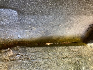 1974 LH SL/R 5000 Torana - Restoration Project