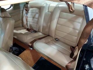 1973 HQ GTS Monaro Coupe 350 4 Speed - Warrigal Black