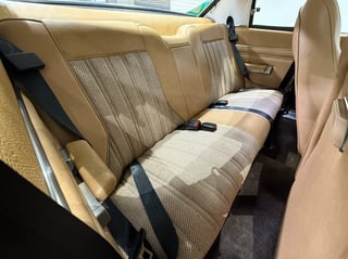 1977 Chrysler Valiant CL Charger 770 - Poison Ivy Metallic