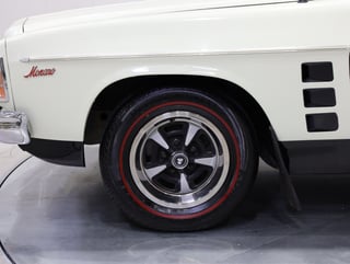 1975 Holden HJ GTS Monaro 2-Door Coupe - Chamois Unrestored Survivor 