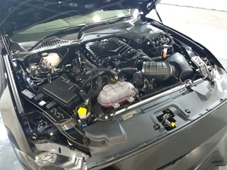 2019 Dick Johnson Limited Edition Mustang - Build 10/30 - Automatic