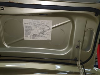 1965 Mustang Fastback 2+2