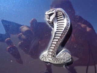 2001 Mustang Cobra Convertible