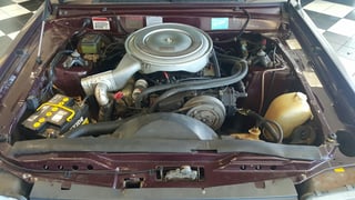 1981 XD Fairmont Ghia Limited Edition