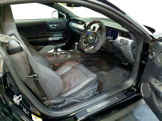 2019 Dick Johnson Limited Edition Mustang - Build 10/30 - Automatic