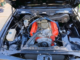 1976 Holden LX Torana SS 5.0 Litre 4 speed - Tuxedo Black