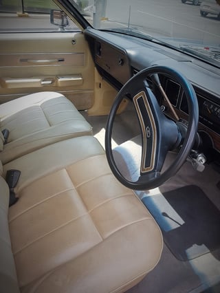 1977 ZH Fairlane Marquis 302 V8