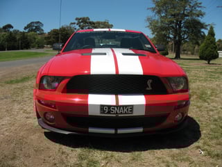 2009 Shelby Mustang GT500