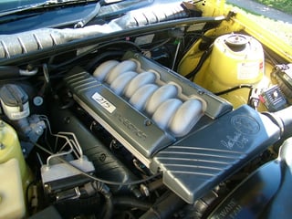 HSV GTS-R Commodore #61