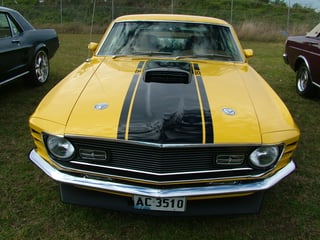 2016 All Ford Day - Sydney