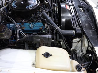 1982 Holden WB Statesman Caprice - Alabaster White