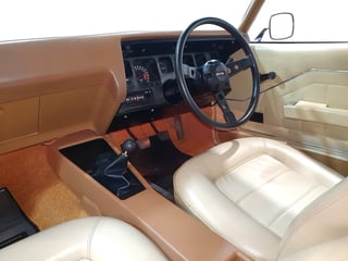 1973 HQ GTS Monaro Coupe 350 4 Speed - Warrigal Black