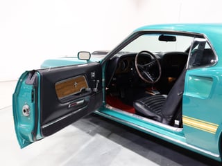 1969 Ford Mustang Mach 1 351ci Windsor - Silver Jade Metallic