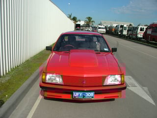 1983 VH Group 3 Brock Commodore #923