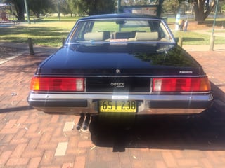 1984 WB HDT Statesman Caprice Magnum #1271