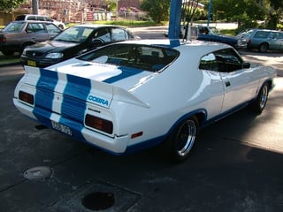 XC Falcon Cobra #107