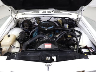 1982 Holden WB Statesman Caprice - Alabaster White