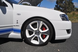 2007 BFII GT Falcon Cobra No.163