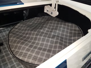 1966 Mustang Shelby GT350 Tribute