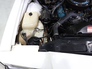 1982 Holden WB Statesman Caprice - Alabaster White