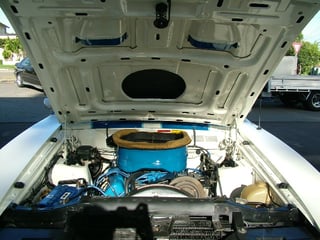 XC Falcon Cobra #107