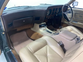 1974 Ford Landau Hardtop - Deep Ivy Green …