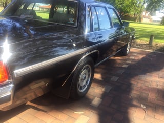 1984 WB HDT Statesman Caprice Magnum #1271