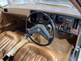 1973 Holden HQ Monaro LS - Juniper Metallic