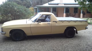1980 WB Holden Utility